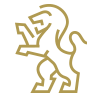 home custom icon 1